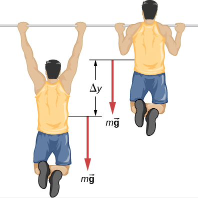 newtonian mechanics - When we do pull-ups, does the bar takes more weight  than when we hang down on the bar? - Physics Stack Exchange