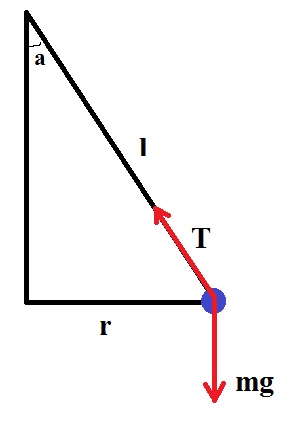 A tetherball on a 1.55 m rope is struck so that it goes into