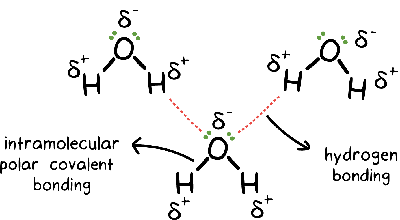 2 водородная связь. H2 водородная связь. Intermolecular bonding. H2o2 водородная связь. Водородная связь h2o схема.