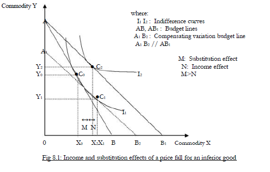 Explain Substitution Effect