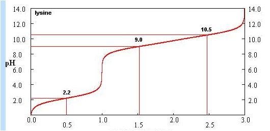 titration curve amino acid