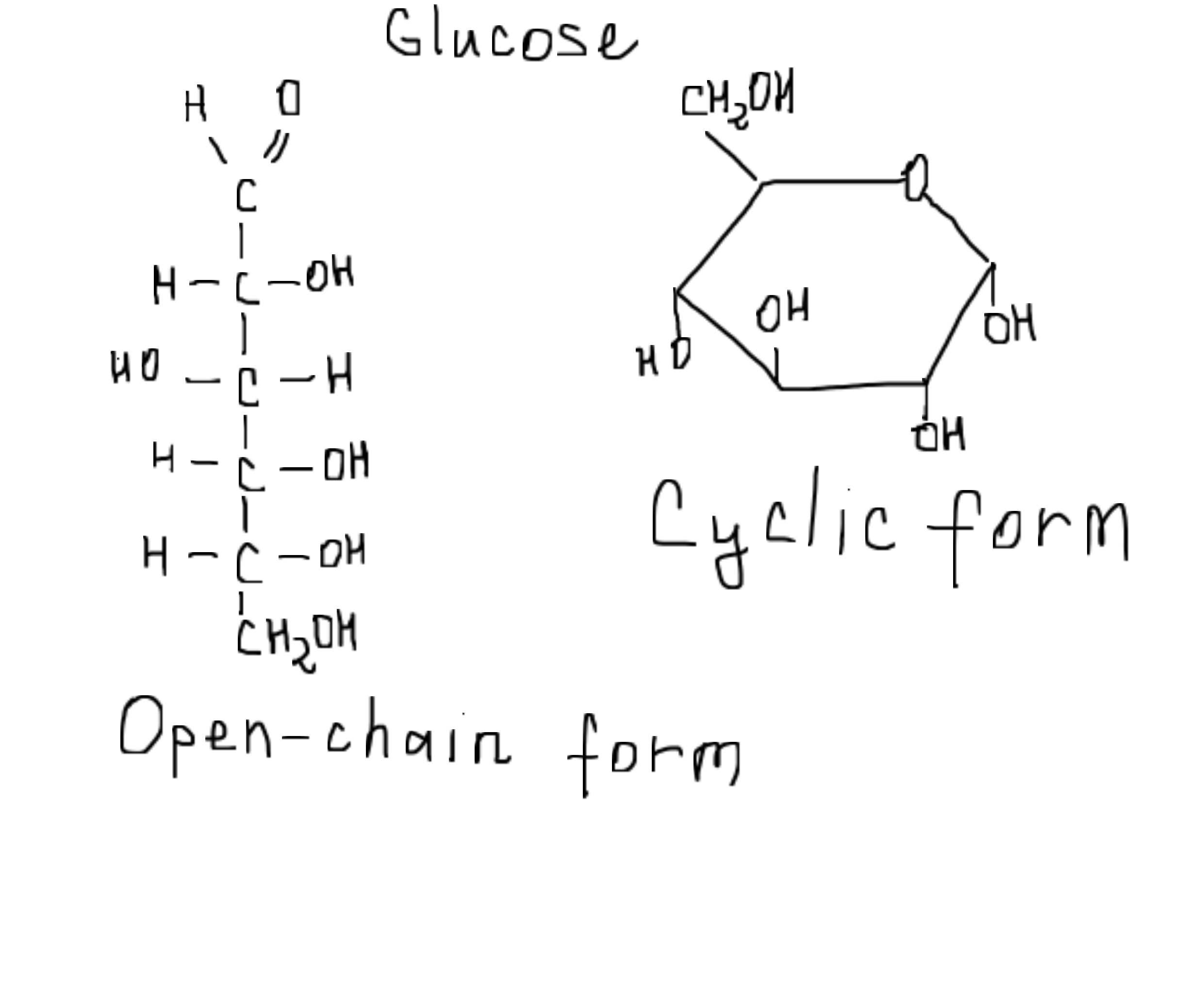 chemical structure of glucose chain form