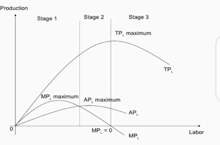 diminishing marginal product total cost curve