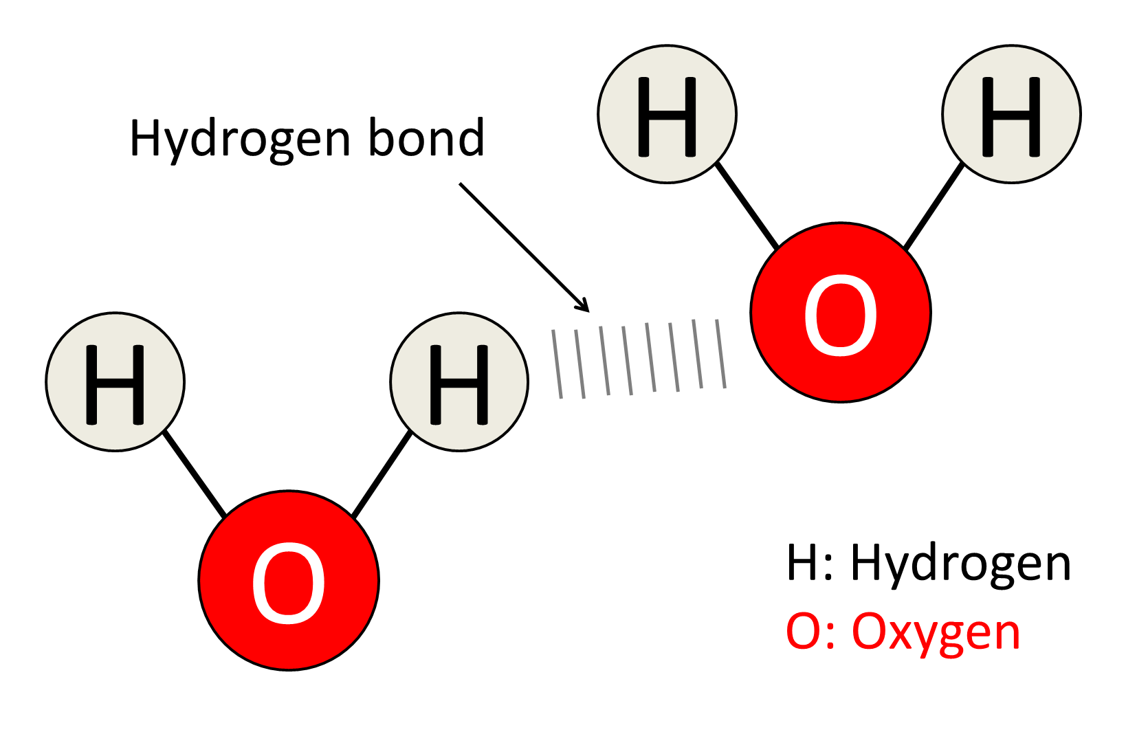 water molecule diagram electrons